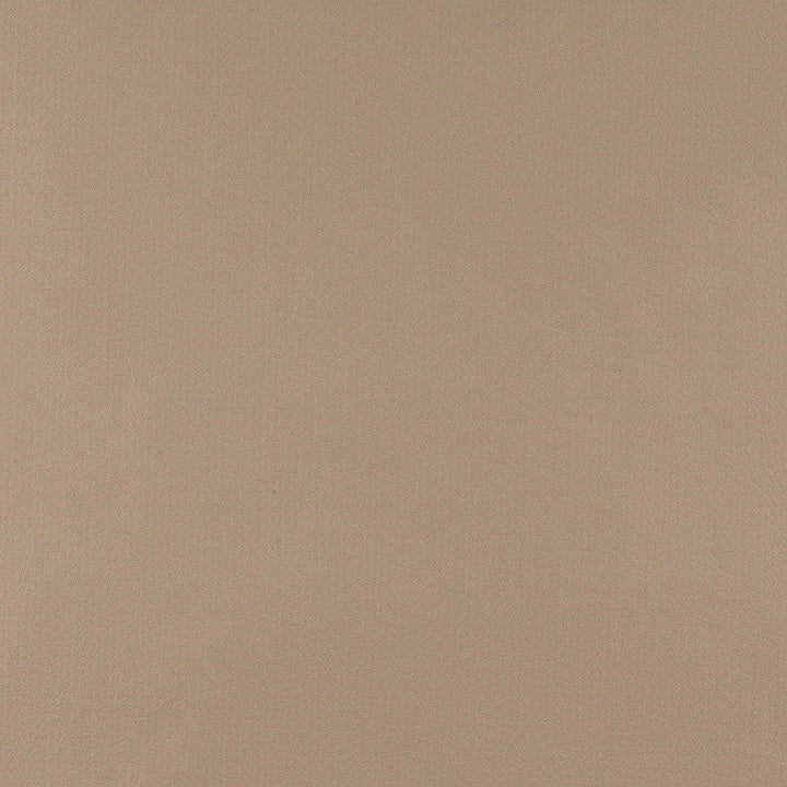 TD-Camel Camel by Charlotte Designer Fabric Top Draw 100% Vinyl W/ Polyester, 18oz. Asia Exceeds 200,000 Wyzenbeek Rubs (Heavy Duty) </p><p>Repeat: 61 Inches - Swanky Fabrics -