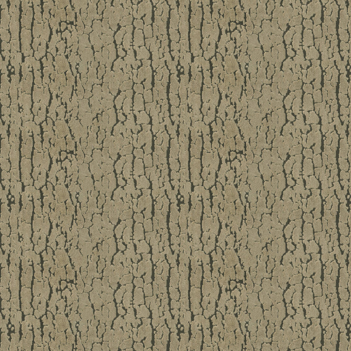 TERRAIN 35J8581 by JF Designer Fabric Sand Dunes 55% Polyester, 45% Viscose India  Horizontal: 14.25 and Vertical: 13.5 54  - Swanky Fabrics -