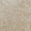 JF Fabric Territory 11J5901