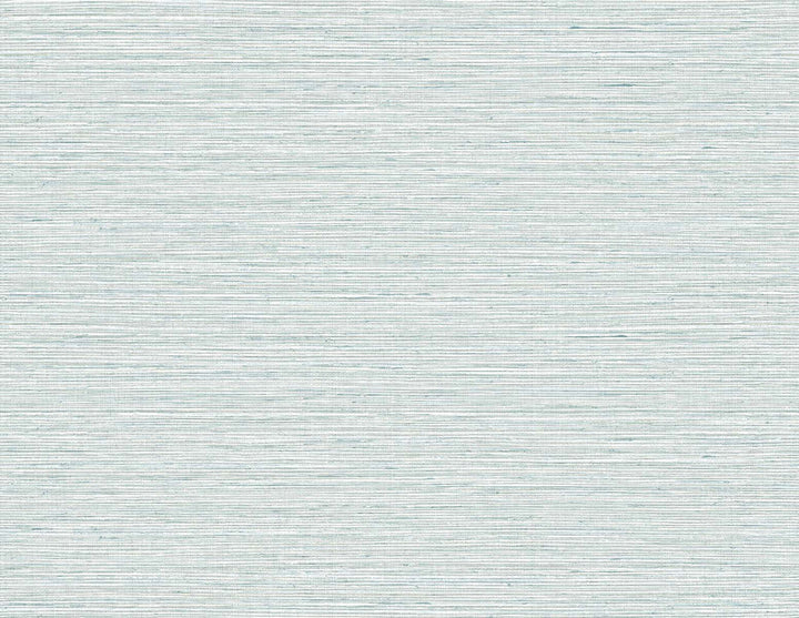 Edmond Faux Sisal Ripple TG60308 by DuPont Designer Wallpaper