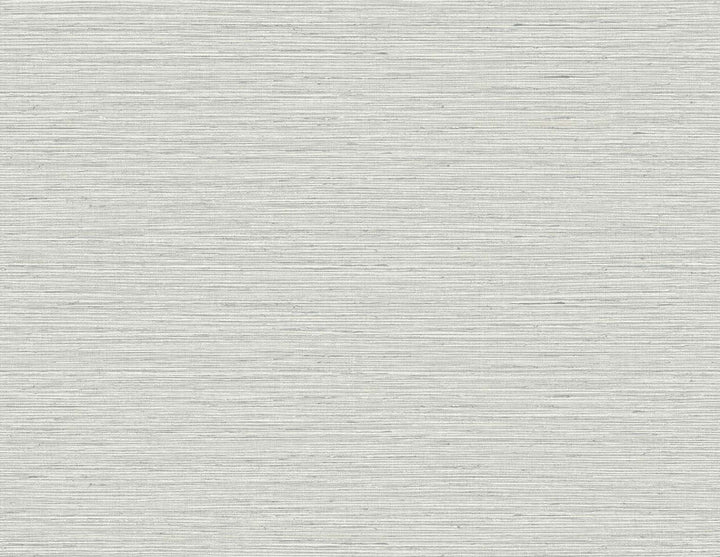 Edmond Faux Sisal Dove Grey TG60333 by DuPont Designer Wallpaper