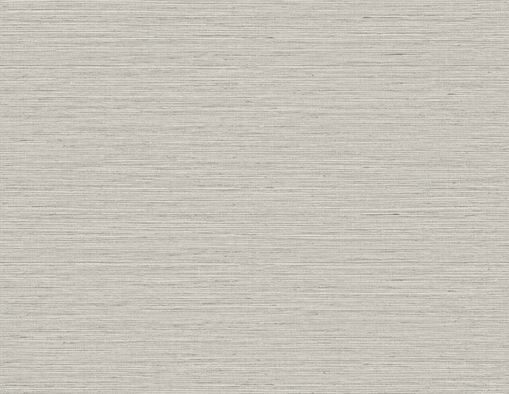 Edmond Faux Sisal Warm Macadamia TG60334 by DuPont Designer Wallpaper