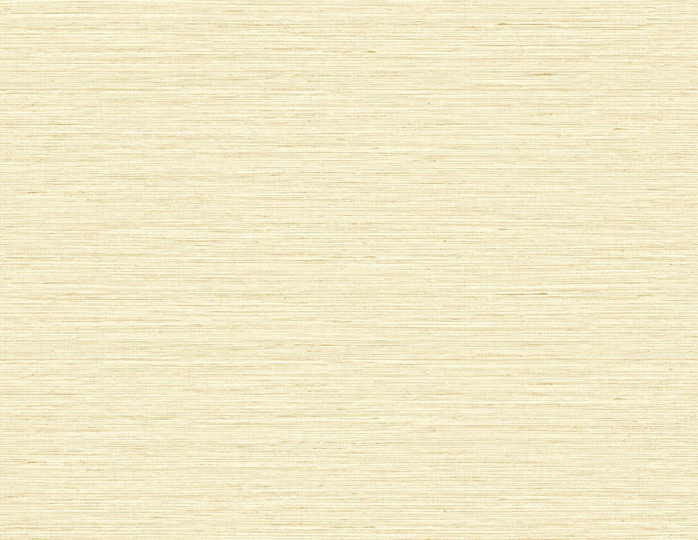 Edmond Faux Sisal Sunkissed TG60337 by DuPont Designer Wallpaper