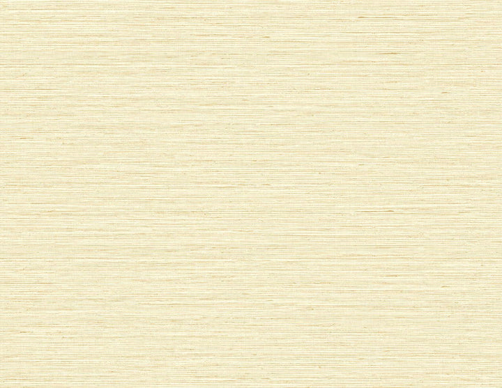Edmond Faux Sisal Sunkissed TG60337 by DuPont Designer Wallpaper