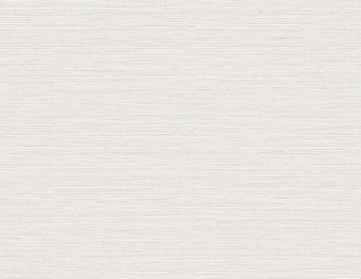 Edmond Faux Sisal Owl Gray TG60348 by DuPont Designer Wallpaper