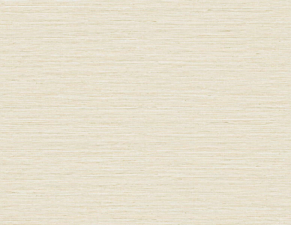 Edmond Faux Sisal Rice TG60349 by DuPont Designer Wallpaper