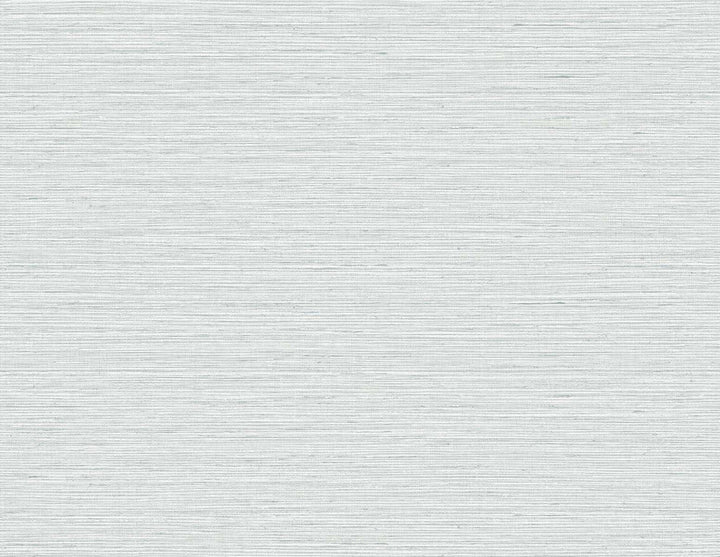 Edmond Faux Sisal Fresh Air TG60350 by DuPont Designer Wallpaper