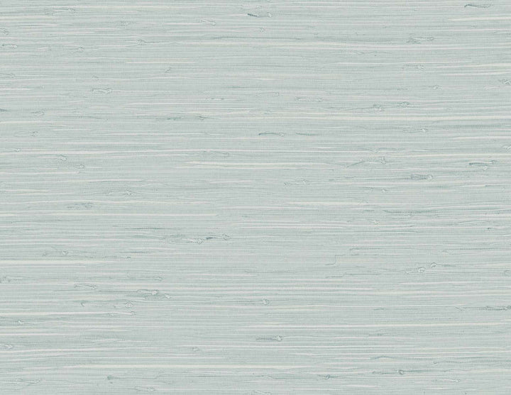 Marion Faux Arrowroot Pale Sky TG60519 by DuPont Designer Wallpaper