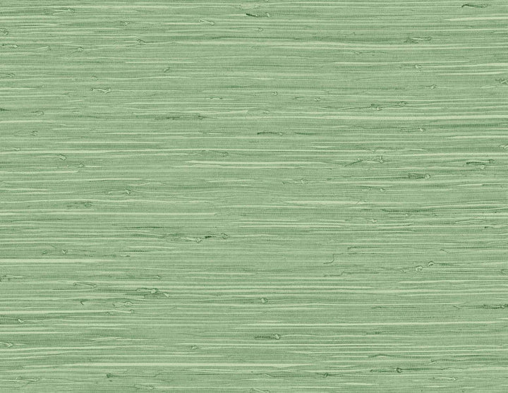 Marion Faux Arrowroot Spring Forest TG60534 by DuPont Designer Wallpaper
