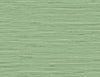 DuPont Wallpaper Marion Faux Arrowroot Spring Forest TG60534