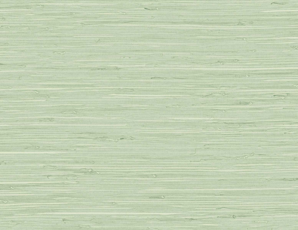 Marion Faux Arrowroot Frosted Grass TG60535 by DuPont Designer Wallpaper