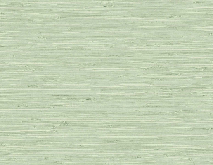 Marion Faux Arrowroot Frosted Grass TG60535 by DuPont Designer Wallpaper