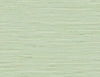 DuPont Wallpaper Marion Faux Arrowroot Frosted Grass TG60535