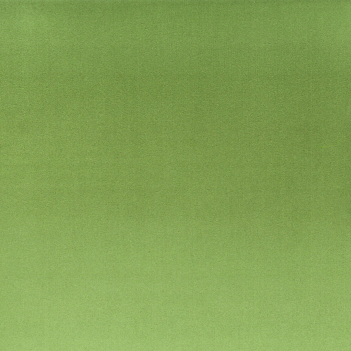 Tinker 2 Basil by Stout Fabric Stout Fabric Tinker 2 BasilFabric RAINBOW LIBRARY SPRING/EVERGREEN INDONESIA </p><p>Repeat: H: 0.000, V: 0.000 54 in - Fabric Carolina -