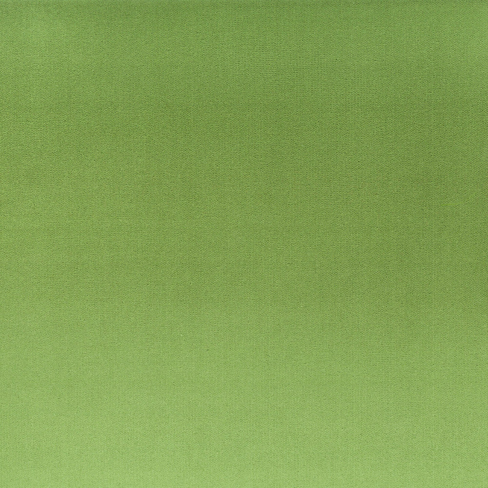 Tinker 2 Basil by Stout Designer Fabric RAINBOW LIBRARY SPRING/EVERGREEN 100%POL INDONESIA FLAME RETARDANT-N.F.P.A. 260A CLASS 1 CATB 117-2013 WYZENBEEK 100 000 DOUBLE RUB WEAR TEST (HEAVY DUTY) Horizontal: 0 and Vertical: 0 54 in - Swanky Fabrics -