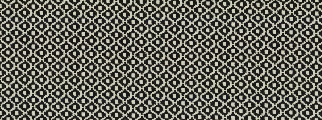 Tinker 916 Ebony/Ivory by Covington Designer Fabric