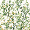 Thibaut Wallpaper Jardin Bloom Mural 3 Panel Set White TM13666