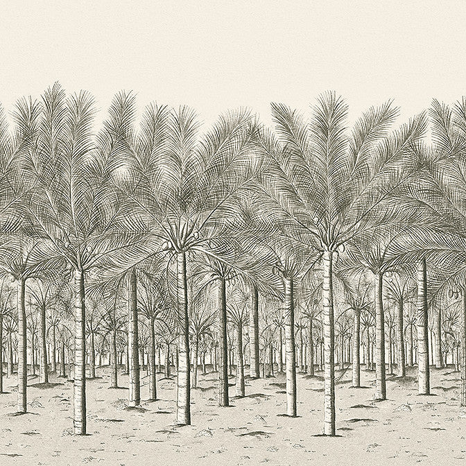 Palm Grove Mural - 5 Panel Full Set Black Tea TM13950 by Thibaut Wallpaper Thibaut Wallpaper Palm Grove Mural - 5 Panel Full Set Black Tea TM13950Wallpaper Palm Grove Non Woven Wallpaper 5 Panel Full Set U.S.A. </p><p>Repeat: V: 0 135 - Fabric Carolina -
