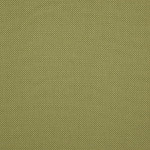 Maxwell Fabric Tesseract # 50 Moss