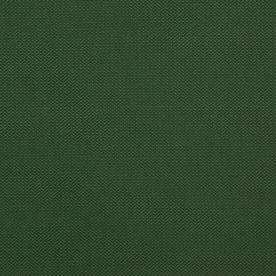 Tesseract # 51 Fern by Maxwell Designer Fabric Weave Works Iv 100% POLYESTER CHINA 59" - Swanky Fabrics -