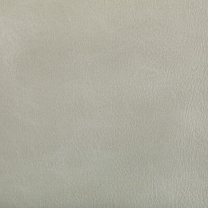 Kravet Fabric Toni Limestone TONI.101.0