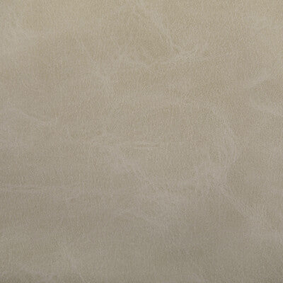 Kravet Contract - Upholstery - TONI.106.0 - Upholstery - POLYURETHANE - 100% - China </p><p>Repeat: H: , V: 27.5 21 - My Fabric Connection -