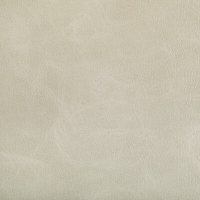 Kravet Contract - Upholstery - TONI.1.0 - Upholstery - POLYURETHANE - 100% - China </p><p>Repeat: H: , V: 27.5 21 - My Fabric Connection -