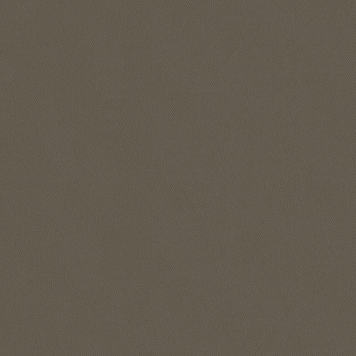Topgun 1s 4059 Taupe by Topgun Designer Fabric N/A 100% Polyester China 15,000 Double Rubs </p><p>Repeat: Horizontal: and Vertical: 60" (152cm) - Swanky Fabrics -