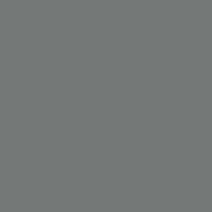 Topgun Fabric 1s 4067 Sea Gull Gray