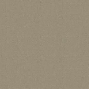Top Notch Fabric 9 #2642 Sand