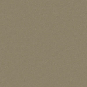 Top Notch Fabric FR 1042 Tan