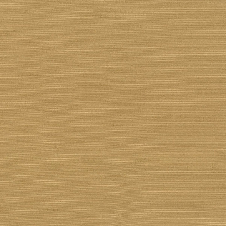 Toulouse 2 Toffee by Stout Designer Fabric BEAUTIFUL ACCENTS 100%POL INDIA WYZENBEEK 20 000 DOUBLE RUB WEAR TEST (HEAVY DUTY) Horizontal: 0 and Vertical: 0 54 in - Swanky Fabrics -