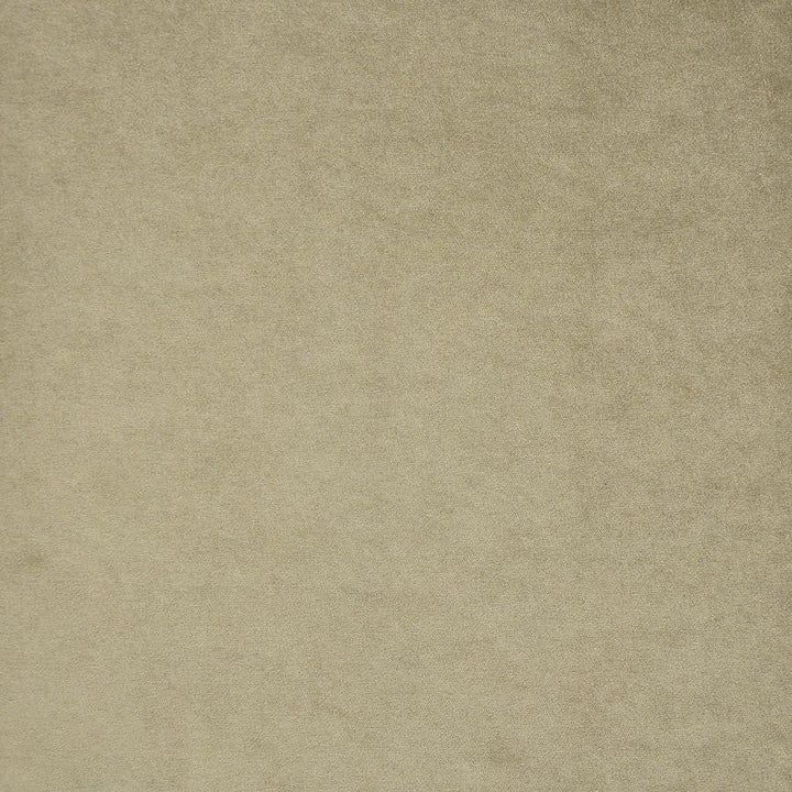 Theda # 706 Lion by Maxwell Designer Fabric Velvet Room 87% POLYESTER/13% LINEN TURKEY 54" - Swanky Fabrics -