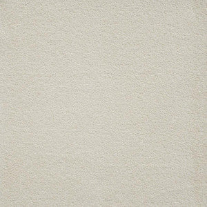 Maxwell Fabric Terry # 151 Parchment