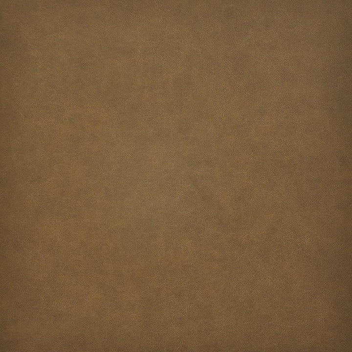 Taro # 204 Mustang by Maxwell Designer Fabric Easy Rider Vi 100% PVC TAIWAN 54" - Swanky Fabrics -