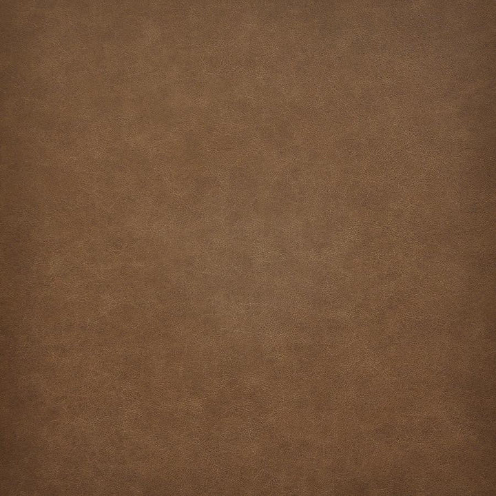 Taro # 205 Rum by Maxwell Designer Fabric Easy Rider Vi 100% PVC TAIWAN 54" - Swanky Fabrics -