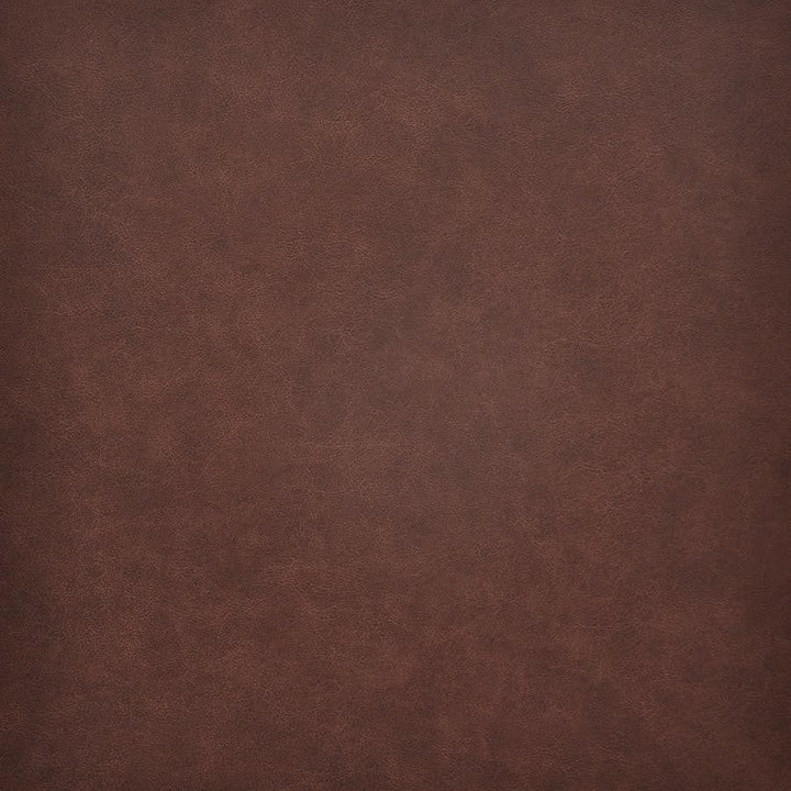 Taro # 207 Cheyenne by Maxwell Designer Fabric Easy Rider Vi 100% PVC TAIWAN 54" - Swanky Fabrics -