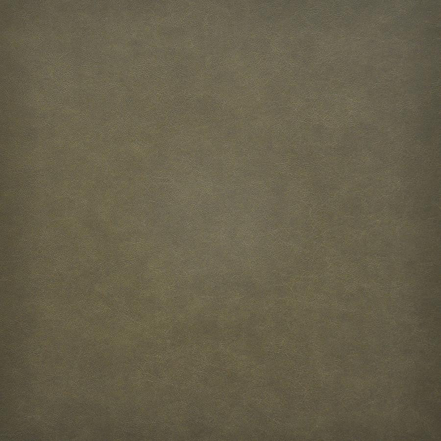 Taro # 215 Thyme by Maxwell Designer Fabric Easy Rider Vi 100% PVC TAIWAN 54" - Swanky Fabrics -