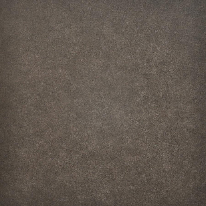 Taro # 219 Shetland by Maxwell Designer Fabric Easy Rider Vi 100% PVC TAIWAN 54" - Swanky Fabrics -