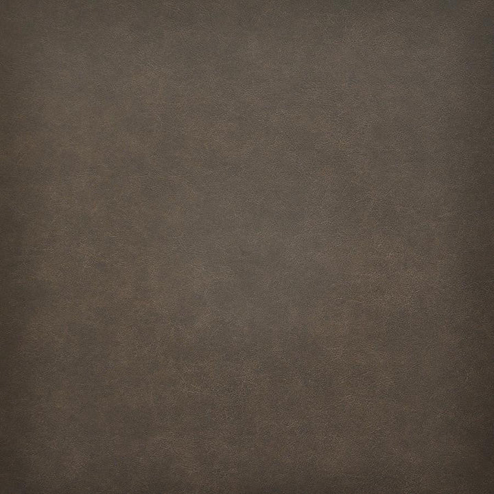 Taro # 220 Chestnut by Maxwell Designer Fabric Easy Rider Vi 100% PVC TAIWAN 54" - Swanky Fabrics -