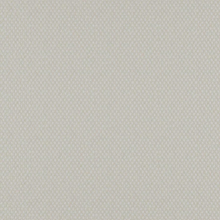 Take Off # 602 Cream by Maxwell Designer Fabric 100% POLYESTER CHINA 56" - Swanky Fabrics -