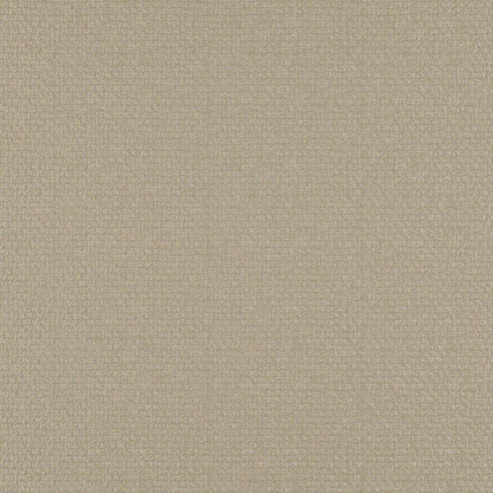 Take Off # 605 Cashew by Maxwell Designer Fabric 100% POLYESTER CHINA 56" - Swanky Fabrics -