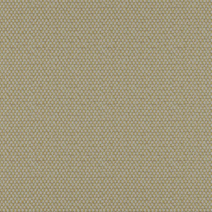 Take Off # 613 Moss by Maxwell Designer Fabric 100% POLYESTER CHINA 56" - Swanky Fabrics -