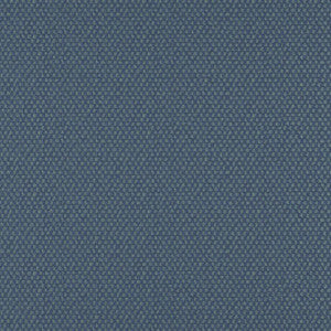 Maxwell Fabric Take Off # 620 Pool