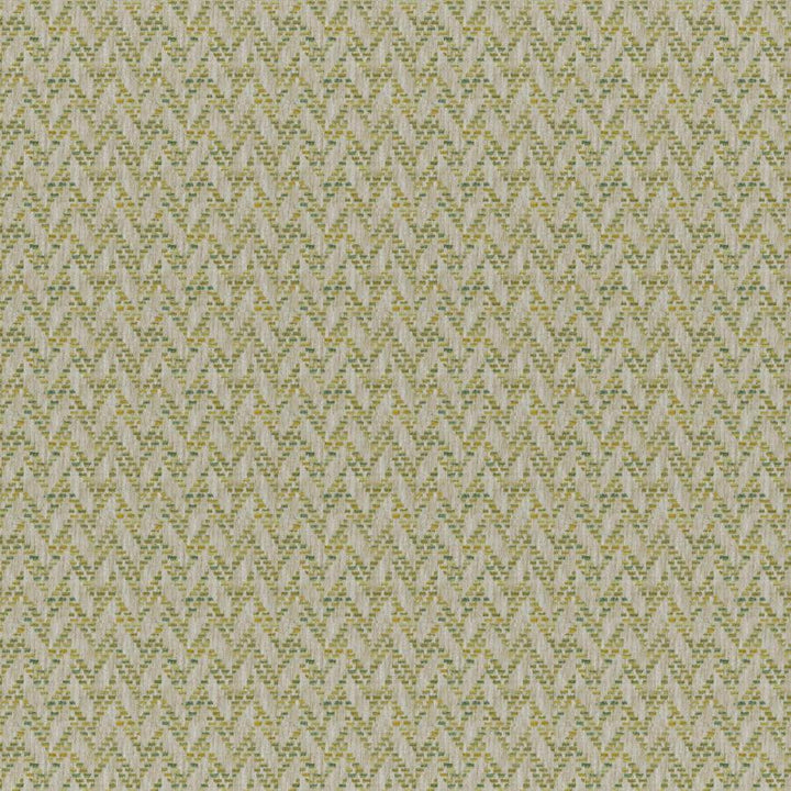 Tierra # 836 Meadow by Maxwell Designer Fabric Colorguard-Amazonia 84% POLYESTER/16% COTTON INDIA V-1.3" H-1.1" 56.5" - Swanky Fabrics -