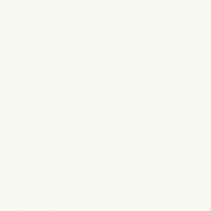 Trace White by Norbar Designer Fabric CAMPO 100% COTTON USA 55 - Swanky Fabrics -