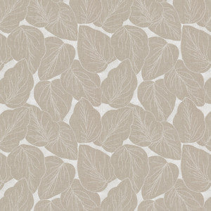 Stout Fabric Translate 1 Toast