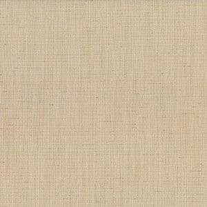 Abbeyshea Fabric Trance 605 Abalone