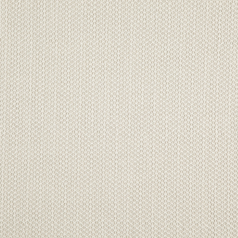Trinity 92J8721 by JF Designer Fabric Divine Embroidery 72% Polyester, 28% Viscose India Horizontal: 0.875 and Vertical: 0.325 55 - Swanky Fabrics -