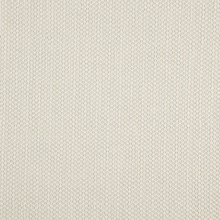 Trinity 92J8721 by JF Designer Fabric Divine Embroidery 72% Polyester, 28% Viscose India Horizontal: 0.875 and Vertical: 0.325 55 - Swanky Fabrics -